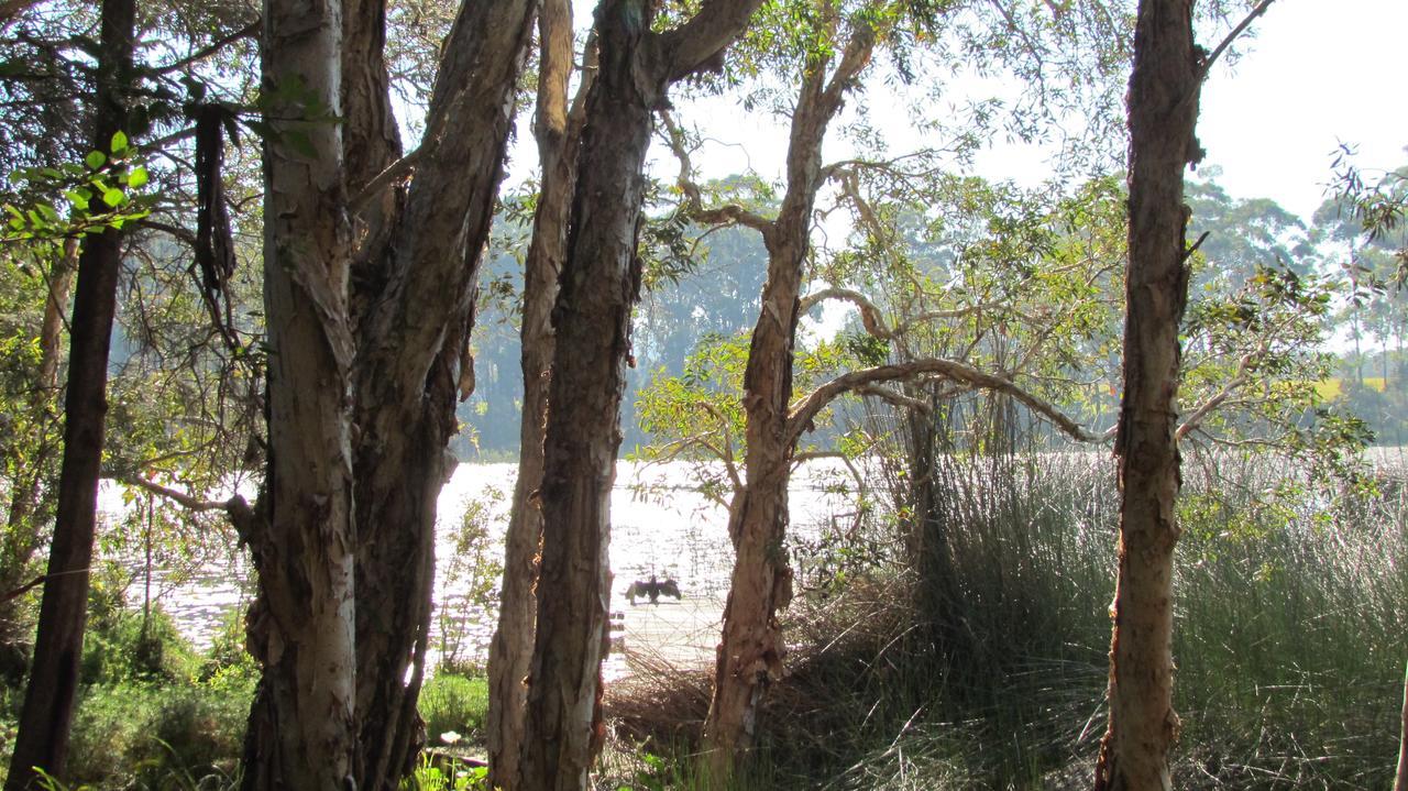 Lake Russell Retreat Emerald Beach Exterior foto